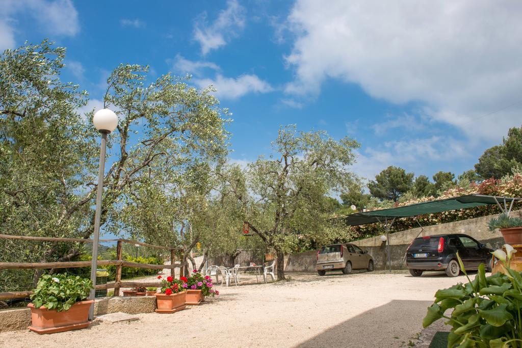 Alba Del Gargano Home Vieste Eksteriør billede